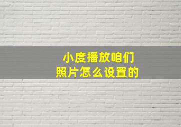 小度播放咱们照片怎么设置的