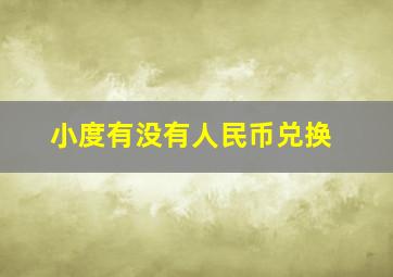 小度有没有人民币兑换