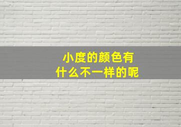 小度的颜色有什么不一样的呢