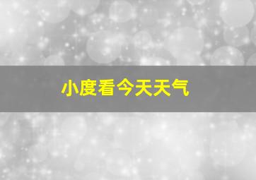 小度看今天天气