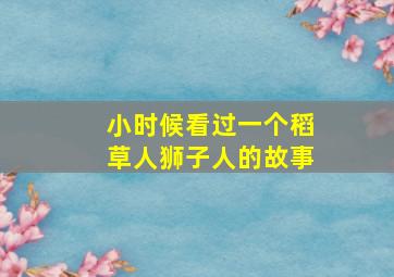 小时候看过一个稻草人狮子人的故事