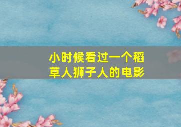 小时候看过一个稻草人狮子人的电影