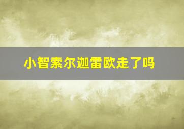 小智索尔迦雷欧走了吗