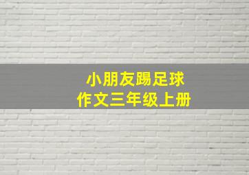 小朋友踢足球作文三年级上册