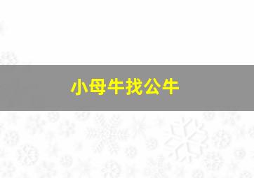 小母牛找公牛