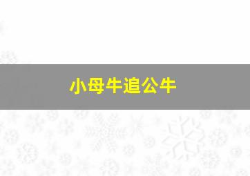 小母牛追公牛