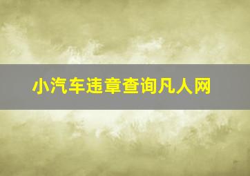 小汽车违章查询凡人网