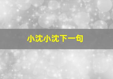 小沈小沈下一句