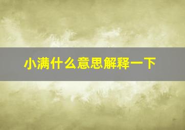 小满什么意思解释一下