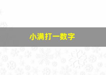 小满打一数字