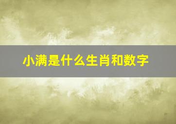 小满是什么生肖和数字