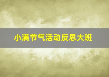 小满节气活动反思大班