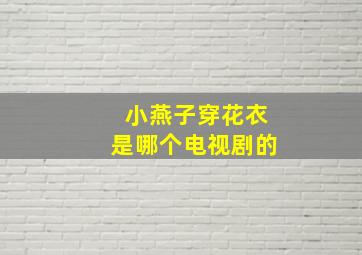 小燕子穿花衣是哪个电视剧的