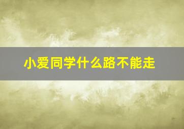 小爱同学什么路不能走