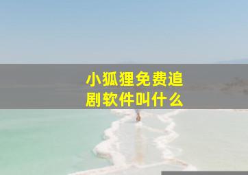 小狐狸免费追剧软件叫什么