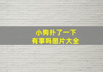 小狗扑了一下有事吗图片大全