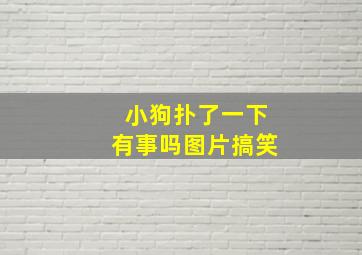 小狗扑了一下有事吗图片搞笑