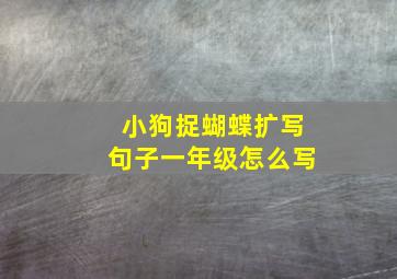 小狗捉蝴蝶扩写句子一年级怎么写