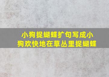 小狗捉蝴蝶扩句写成小狗欢快地在草丛里捉蝴蝶