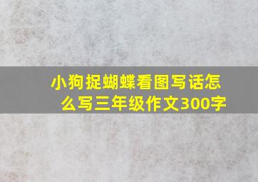 小狗捉蝴蝶看图写话怎么写三年级作文300字