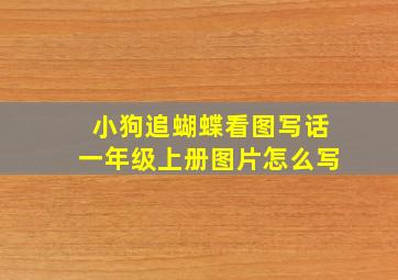 小狗追蝴蝶看图写话一年级上册图片怎么写