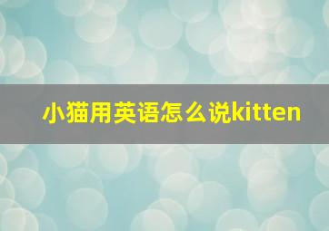 小猫用英语怎么说kitten