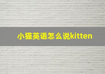 小猫英语怎么说kitten