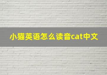 小猫英语怎么读音cat中文