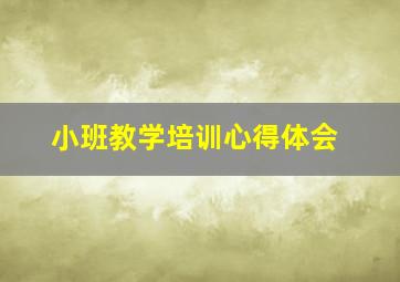 小班教学培训心得体会