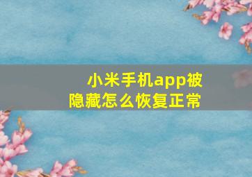 小米手机app被隐藏怎么恢复正常