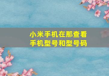 小米手机在那查看手机型号和型号码