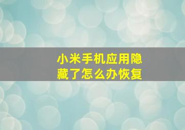 小米手机应用隐藏了怎么办恢复