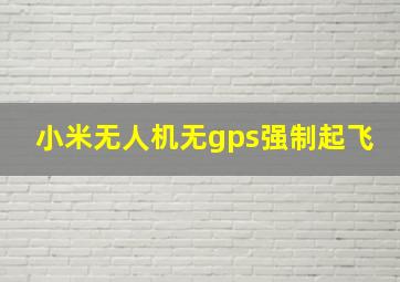 小米无人机无gps强制起飞