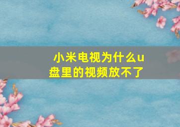 小米电视为什么u盘里的视频放不了