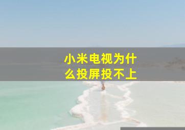 小米电视为什么投屏投不上