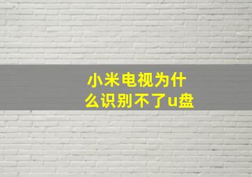 小米电视为什么识别不了u盘