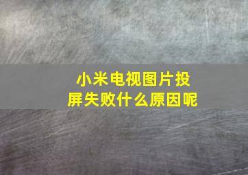 小米电视图片投屏失败什么原因呢