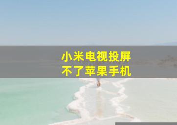 小米电视投屏不了苹果手机