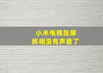 小米电视投屏照相没有声音了