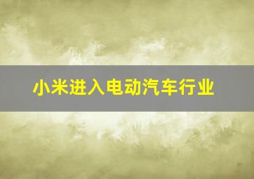 小米进入电动汽车行业