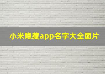 小米隐藏app名字大全图片