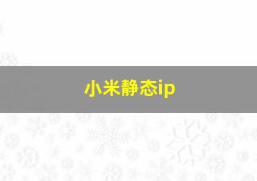 小米静态ip