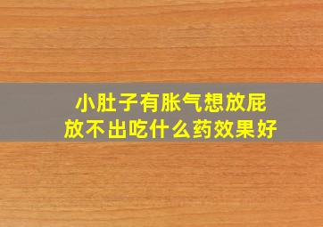 小肚子有胀气想放屁放不出吃什么药效果好