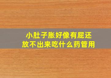 小肚子胀好像有屁还放不出来吃什么药管用