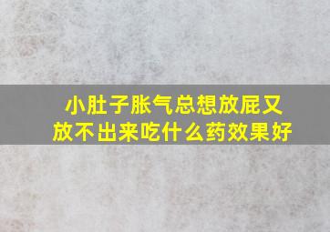 小肚子胀气总想放屁又放不出来吃什么药效果好