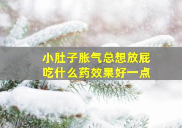 小肚子胀气总想放屁吃什么药效果好一点