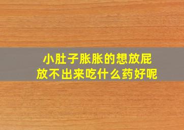 小肚子胀胀的想放屁放不出来吃什么药好呢