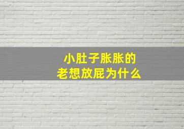 小肚子胀胀的老想放屁为什么