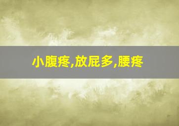 小腹疼,放屁多,腰疼