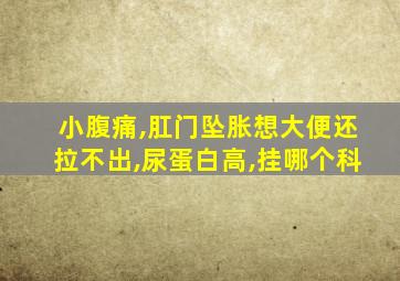 小腹痛,肛门坠胀想大便还拉不出,尿蛋白高,挂哪个科